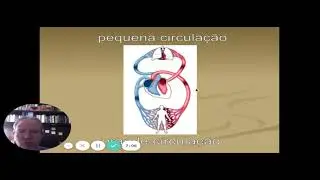 Cardiovascular  função e disfunção