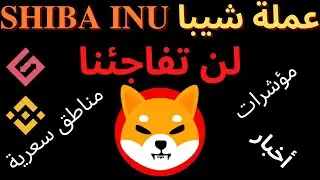 SHIBA INU - Shiba  تحليل عملة شيبا - عملة