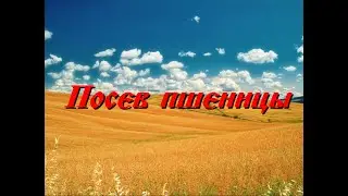 Посев пшеницы на советском тракторе Т-25А