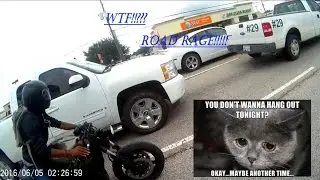Making a new freind road rage and kittens