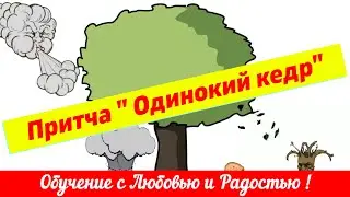Притча "Одинокий  кедр "