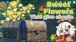 Sweet Flowers Location that give you chests | Sumeru, Genshin Impact
