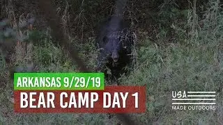 Bear Camp Day 1