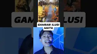 Ilusi optik! Coba tebak sepeda nya berada dimana guys ? 🤯 #shorts