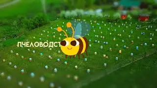 Пчеловодство Алтайского края