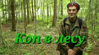 Коп в лесу.Александр(реставратор)№245