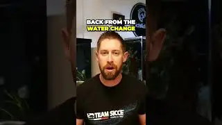 The Insane Truth About Oscar Tank Water Changes You Didnt Know
