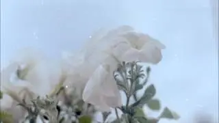 Atrio Serenade - La Tierra en donde Estoy, el Viento en donde Voy (short verson)