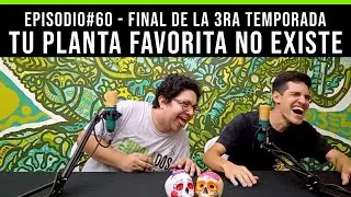ENROLADOS - EP #60 