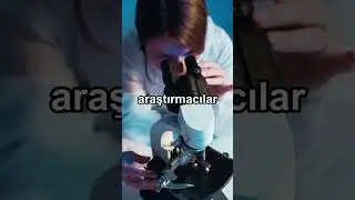 #shorts #komik #komikvideo #komikvideolar