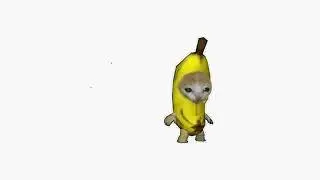 Banana cat sings happy happy happy 