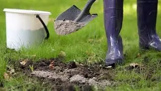 НАДВАЖЛИВА МАНІПУЛЯЦІЯ З КВІТАМИ В ЛИСТОПАДІ!