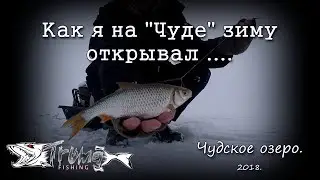 Как я на 