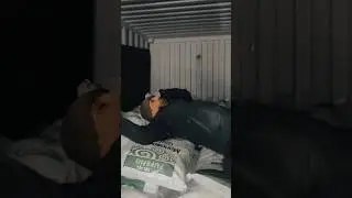 Авхоли Гариби Москва 