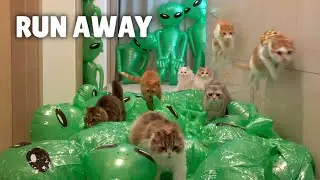 Extreme Alien Escape Challenge