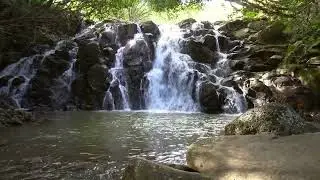 River in forest Relaxing sound/music