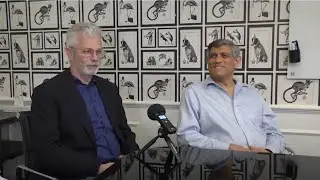 Weebit Nano interview: We're shooting the breeze with WBT's CEO and Chair