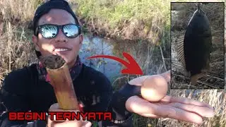 RAHASIA MANCING IKAN PAPUYU/BETOK