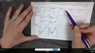 Polynomial Functions