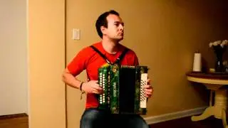 Цыганочка - гармонь