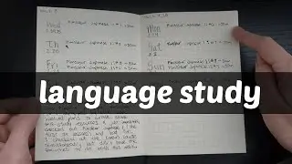 I set up a language study notebook (midori a6)