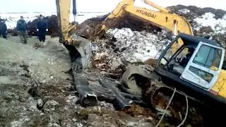 23 марта 2019 г.