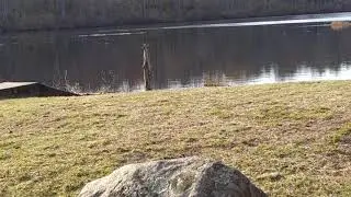 Filmed at mothers day