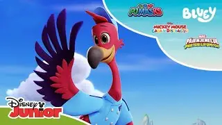 ÎN EXCLUSIVITATE: 🍂 Învățați despre anotimpuri! | Disney Junior România
