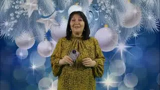Новый год. Ведущая на корпоратив.