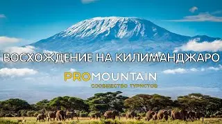 Восхождение на вершину Африки - Килиманджаро 5895 м.
