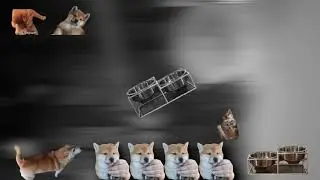 Beyond the Kevin