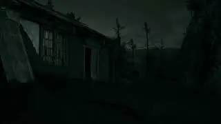 Noche de Campo 02