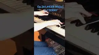 🎹Need the exercise?▶️#43(B Maj.), 125 Exercises in passage-playing, Op.261 - C.Czerny #shorts#etude