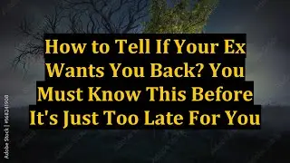 How to Tell If Your Ex Wants You Back? You Must Know This Before It's Just Too Late For You