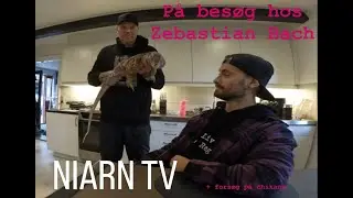 NIARN TV #6