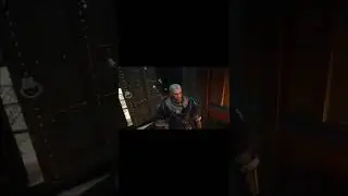 Самый бдительный стражник Новиграда