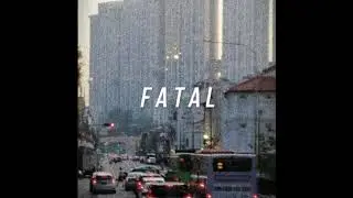 EVVORTEX - FATAL