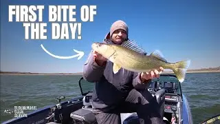 Pre-spawn Walleyes & Lithium Batteries