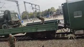 I salute to indian army soldier and he salute me back