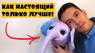 Живой Слоненок Джуно Zoomer 6047249 Зуммер как Furreal Friends