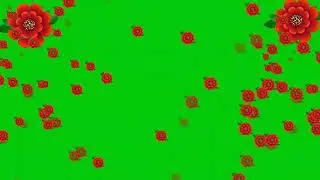 Flowers green screen effects. Rose green screen effects