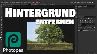 Photopea - Hintergrund entfernen (remove background)