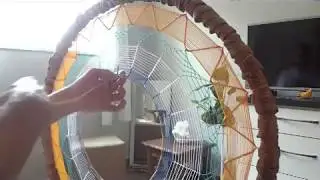 Filtro dos Sonhos - Processo de criação