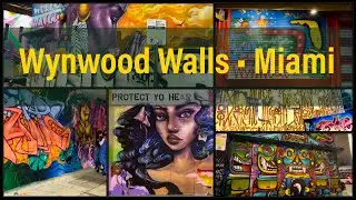 Wynwood Walls. Wynwood, Miami Walking Tour. Wynwood Art District. Mural City