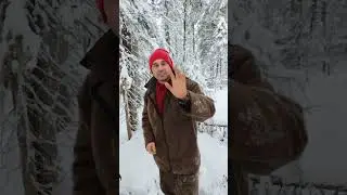 в зимнем лесу