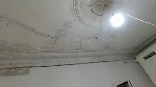 2. 