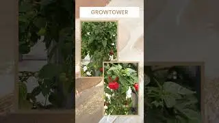 #gardening