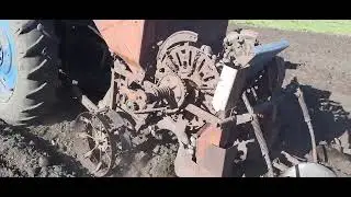 Посадка картофеля