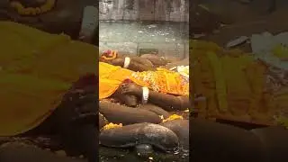 budha nilkanth. 🎉🙏🎉🙏 Narayan 🎉🙏nepal