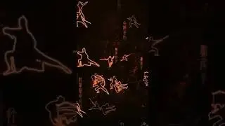 Chinese Tranditional Kunfu Video Effect